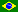 Portugues do Brasil
